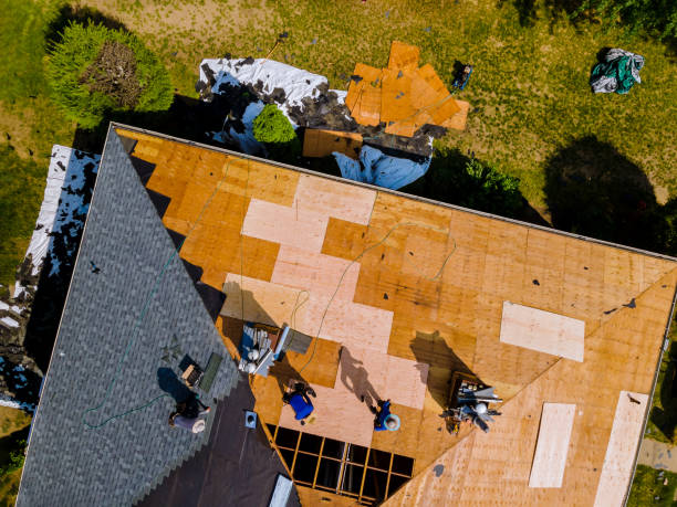 Best Storm Damage Roof Repair  in Reidsville, NC