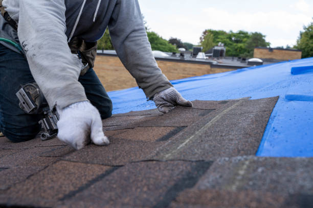 Best Roof Maintenance Services  in Reidsville, NC