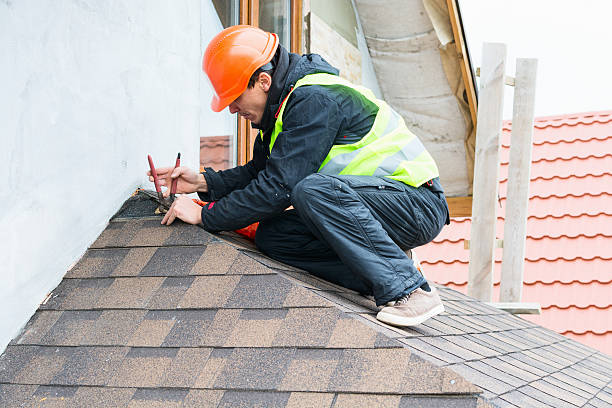 Best Roof Gutter Cleaning  in Reidsville, NC